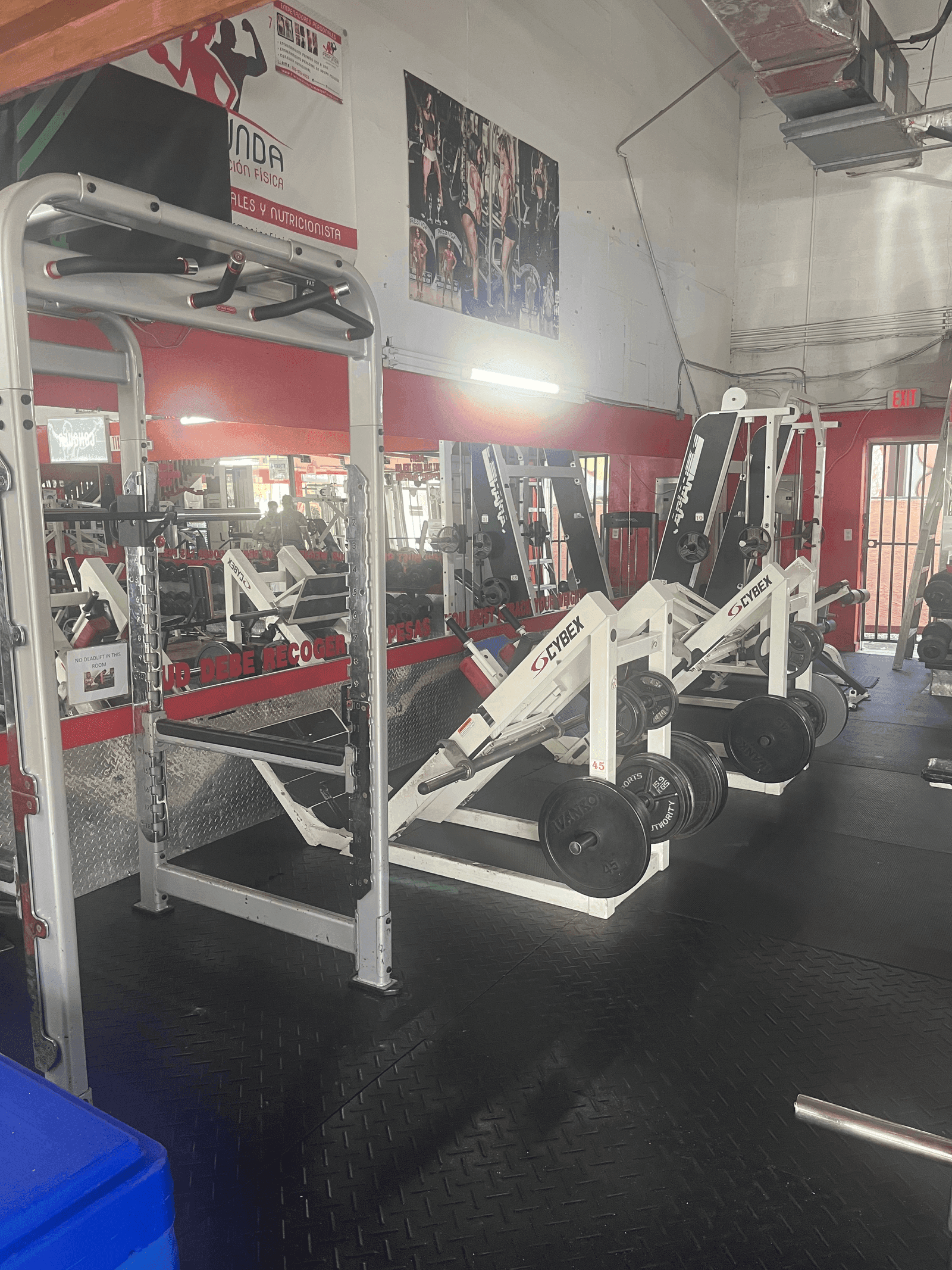 Weight machines and gym equipment at Gallo 8 Gym Little Havana