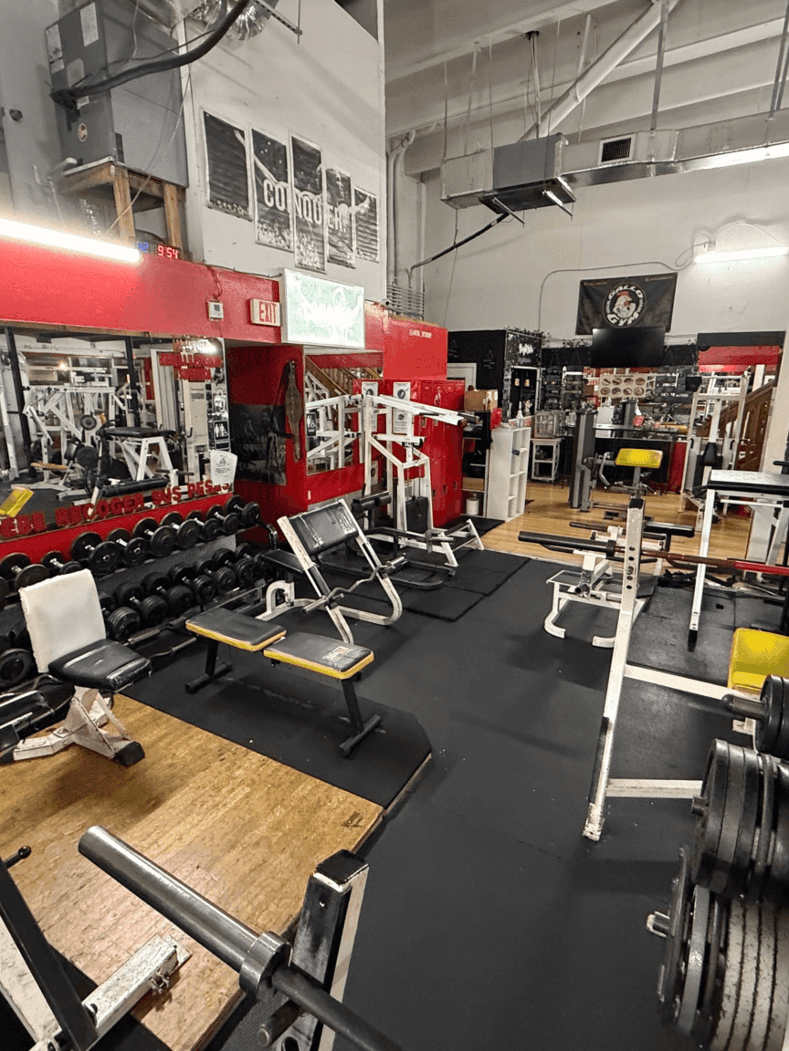 Best Gyms Near Miami Dade College — A 2026 Local Guide