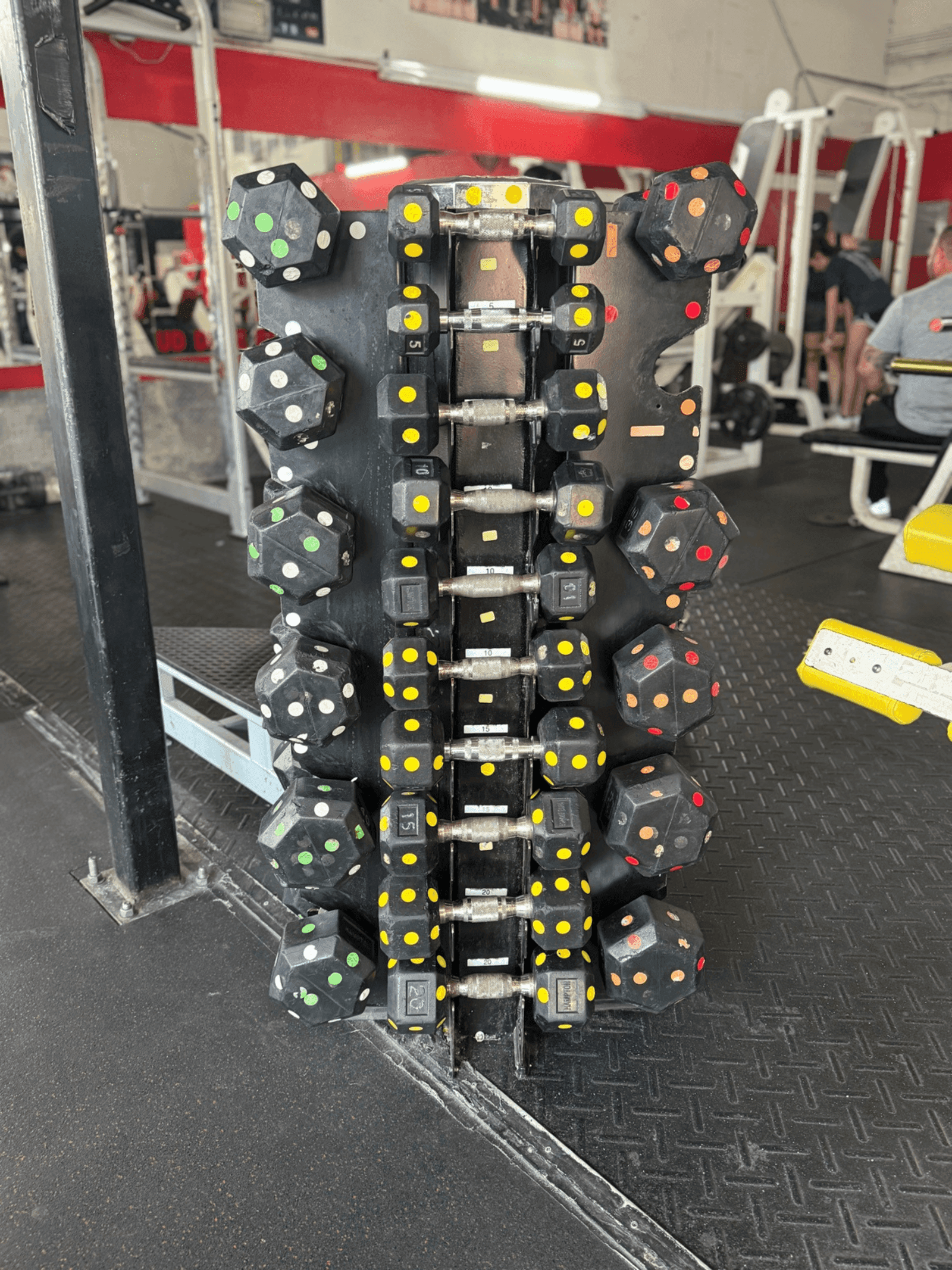 Personal training session with dumbbells at Gallo 8 Gym Miami